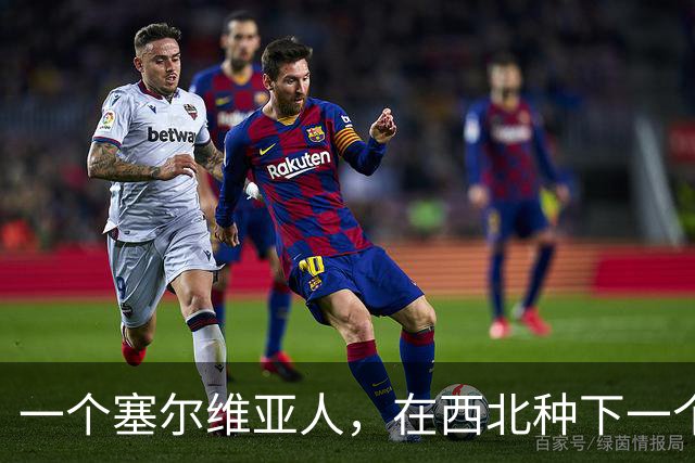 一个塞尔维亚人，在西北种下一个青训体系