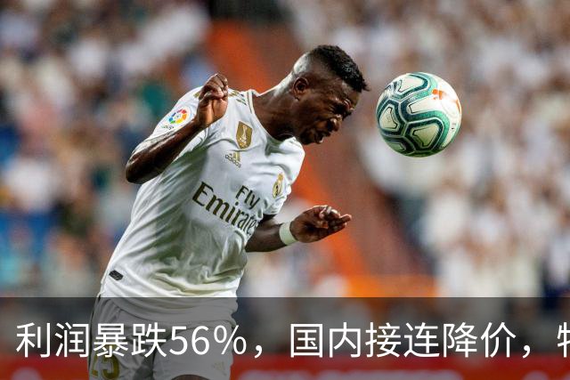 利润暴跌56％，国内接连降价，特斯拉的中国智驾何时兑现？