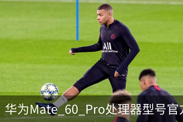 华为Mate 60 Pro处理器型号官方首次“揭秘”，搭载麒麟9000S与30、40、50、90“同台竞技”