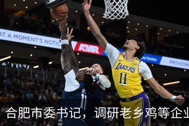 合肥市委书记，调研老乡鸡等企业