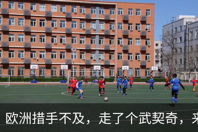 欧洲措手不及，走了个武契奇，来了个更硬的！学生名单对中俄表态