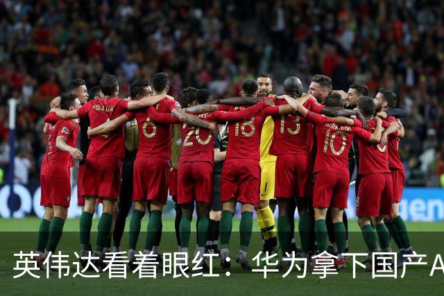 英伟达看着眼红：华为拿下国产AI芯片52.1%的份额