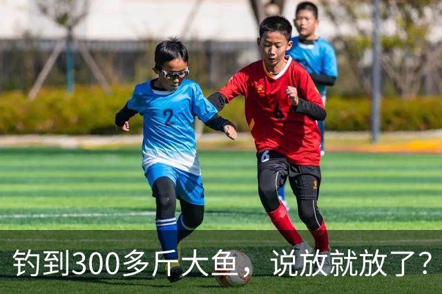 钓到300多斤大鱼，说放就放了？