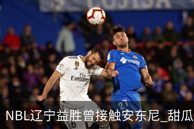 NBL辽宁益胜曾接触安东尼 甜瓜不想去海外打球